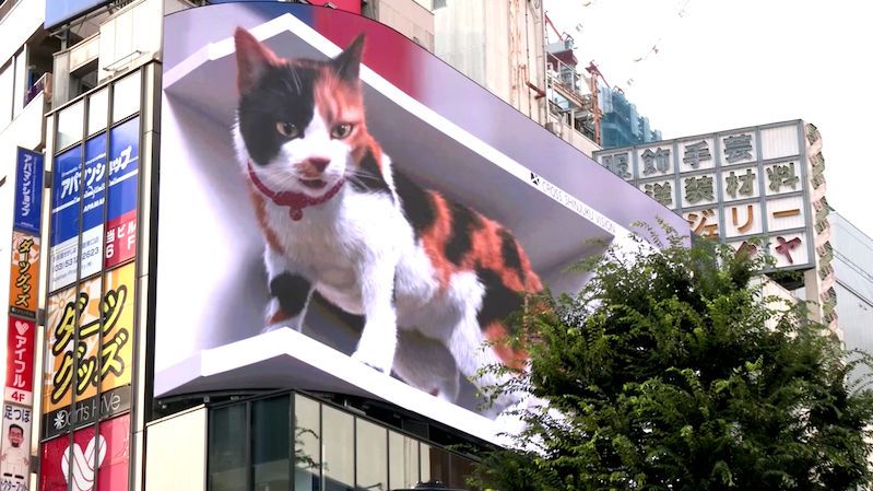 Iluze obří kočky uchvátila Japonce